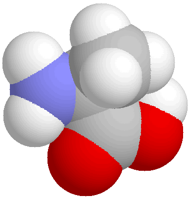 space filling model of L-alanine