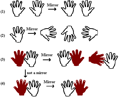 1. white hands and mirror image;
 2. mirror images of white left hand; 
 3. white left hand and brown right hand; 
 4. brown and white hands of same handedness