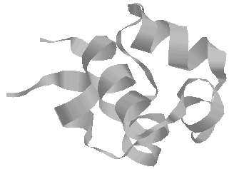 cartoon of H elements in pCro