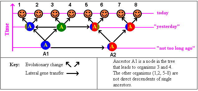 Evolution and lateral gene transfer