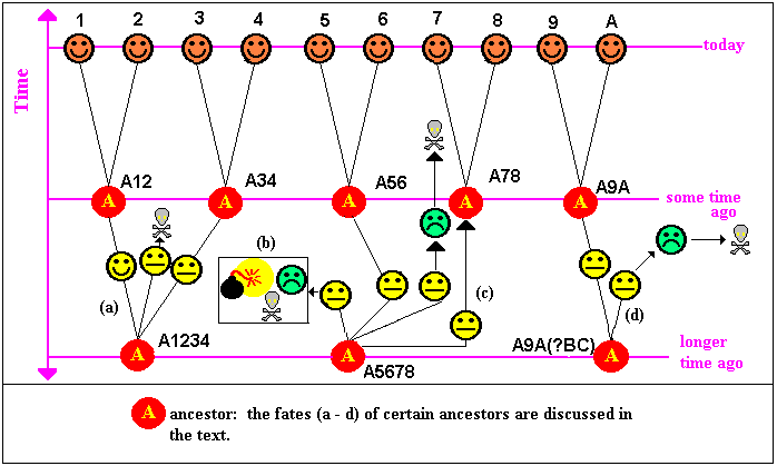 Evolution and the ancestors